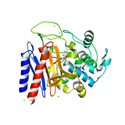 BU of 2dns by Molmil