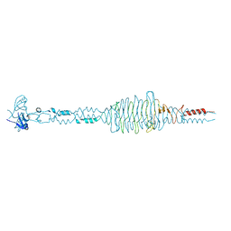 BU of 2dp5 by Molmil