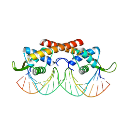 BU of 2dpd by Molmil