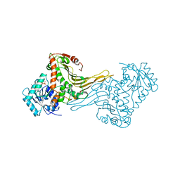 BU of 2dpg by Molmil