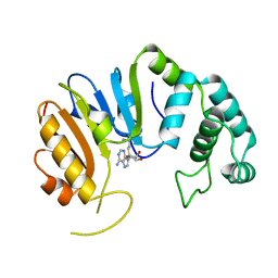 BU of 2dpm by Molmil