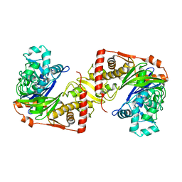 BU of 2dpn by Molmil