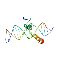 BU of 2drp by Molmil