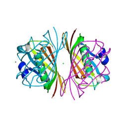 BU of 2dsl by Molmil