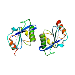 BU of 2dst by Molmil