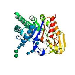 BU of 2dsv by Molmil