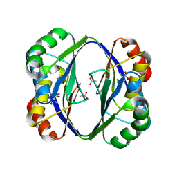 BU of 2dt9 by Molmil