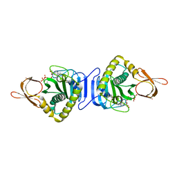 BU of 2dti by Molmil