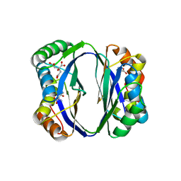 BU of 2dtj by Molmil