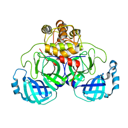 BU of 2duc by Molmil