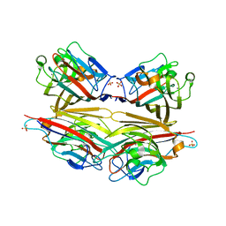 BU of 2dvb by Molmil