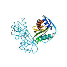 BU of 2dvp by Molmil