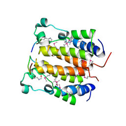 BU of 2dvq by Molmil