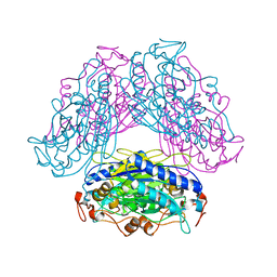 BU of 2dyv by Molmil