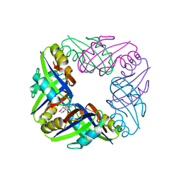 BU of 2e1a by Molmil