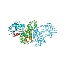 BU of 2e20 by Molmil