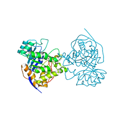 BU of 2e25 by Molmil