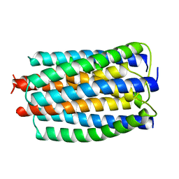 BU of 2e2a by Molmil