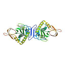 AU of 2e3y by Molmil
