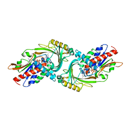 BU of 2e48 by Molmil