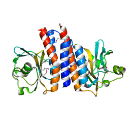 AU of 2e4s by Molmil