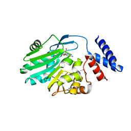 AU of 2e58 by Molmil