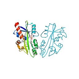 BU of 2e5x by Molmil