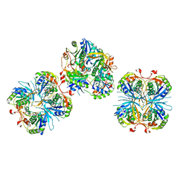 BU of 2e6g by Molmil