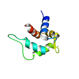 BU of 2e6w by Molmil