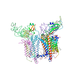 BU of 2e75 by Molmil