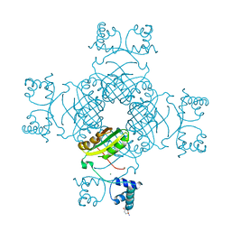 BU of 2e7w by Molmil