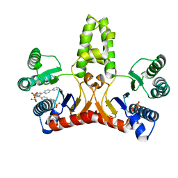 BU of 2e9a by Molmil