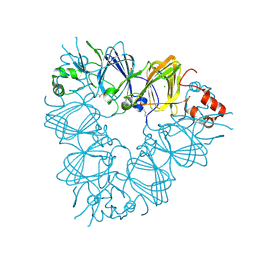 BU of 2e9q by Molmil