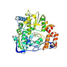 BU of 2e9t by Molmil