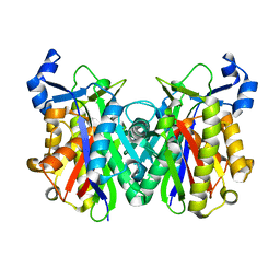 BU of 2ebd by Molmil