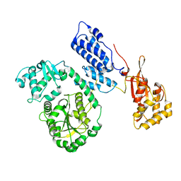 BU of 2ebh by Molmil