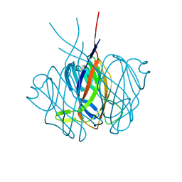 BU of 2edm by Molmil