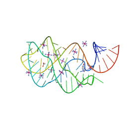 BU of 2eet by Molmil