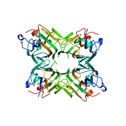 BU of 2ef6 by Molmil