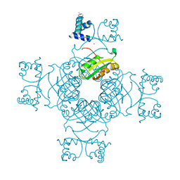 BU of 2efp by Molmil