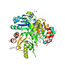 BU of 2ehc by Molmil