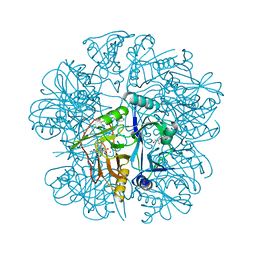 BU of 2ei0 by Molmil