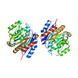 BU of 2eiv by Molmil