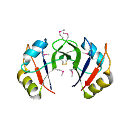 BU of 2ek1 by Molmil