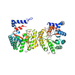 BU of 2ekg by Molmil