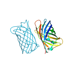 BU of 2emd by Molmil