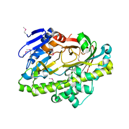 BU of 2epg by Molmil