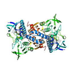 BU of 2eq6 by Molmil