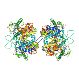 AU of 2es8 by Molmil