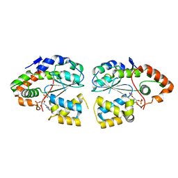 AU of 2etg by Molmil